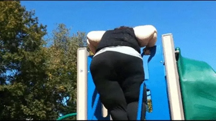 Too Fat For The Playground