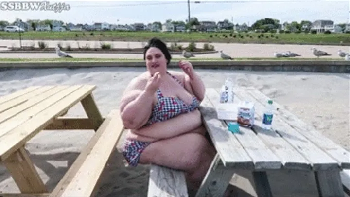 Publicly Fat at the Beach, Part 2