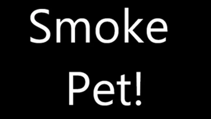 Smoking Pet ( smoking)