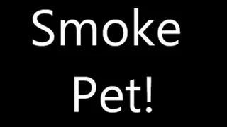 Smoking Pet ( smoking)