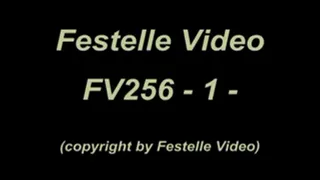 FV256: complete download