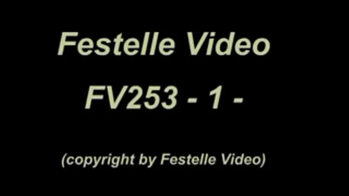 FV253: complete download