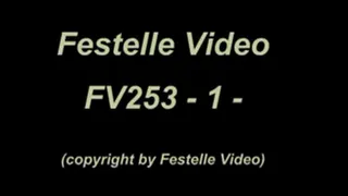 FV253: complete download