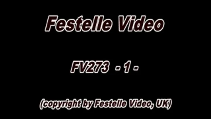 FV273: complete download