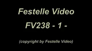 FV238: complete download