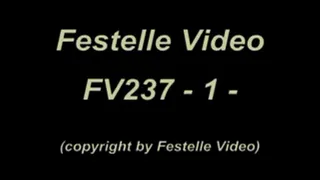 FV237: complete download