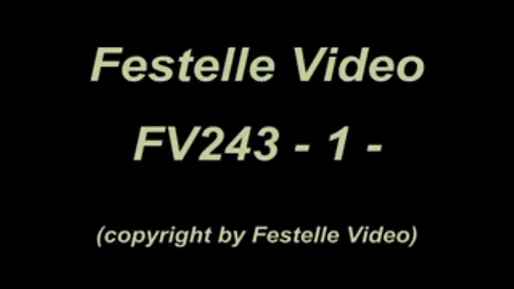 FV243: complete download