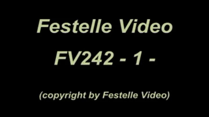 FV242: complete download