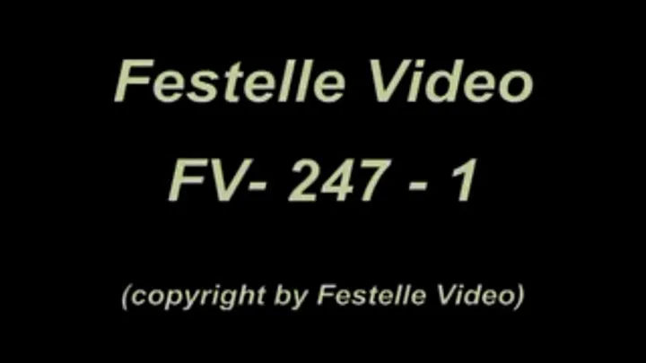 FV247: complete download