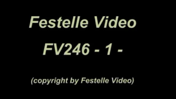 FV246: complete download