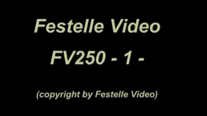 FV250: complete download