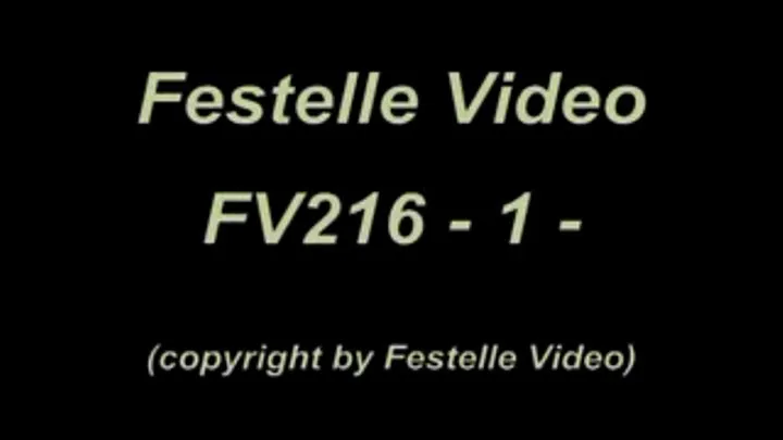 FV216: complete download