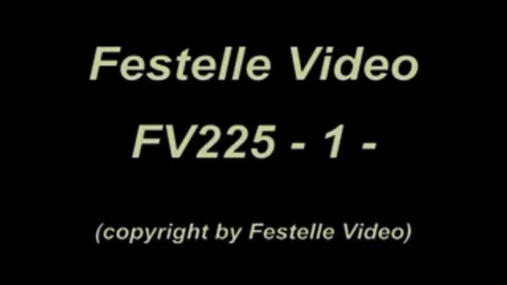 FV225: complete download