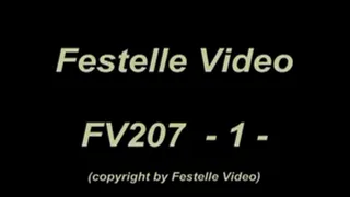 FV207: complete download