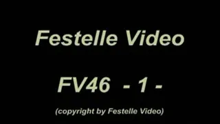 FV46: complete download