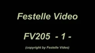 FV205: complete download