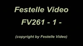 FV261: complete download