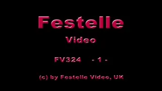 FV324-1: 1. Chantelle vs Lisa