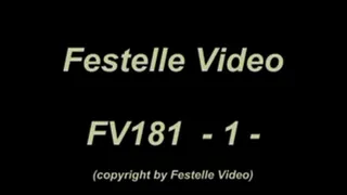 FV181: complete download