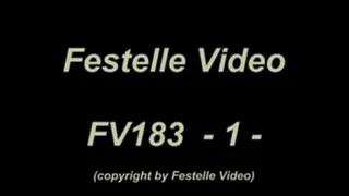 FV183: complete download