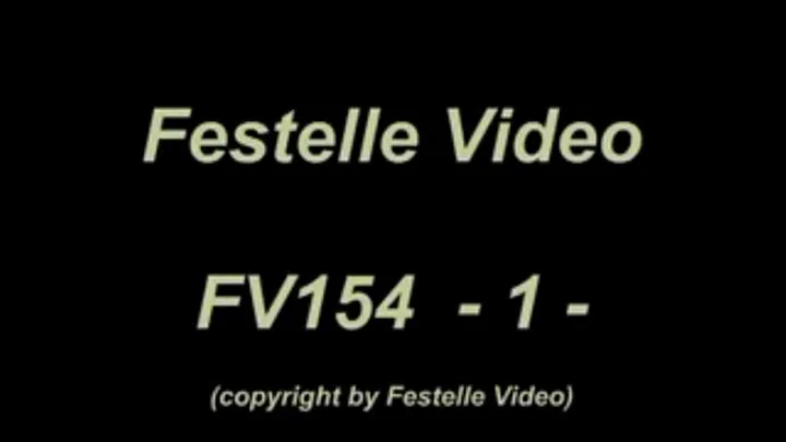 FV154: complete download