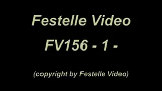 FV156: complete download