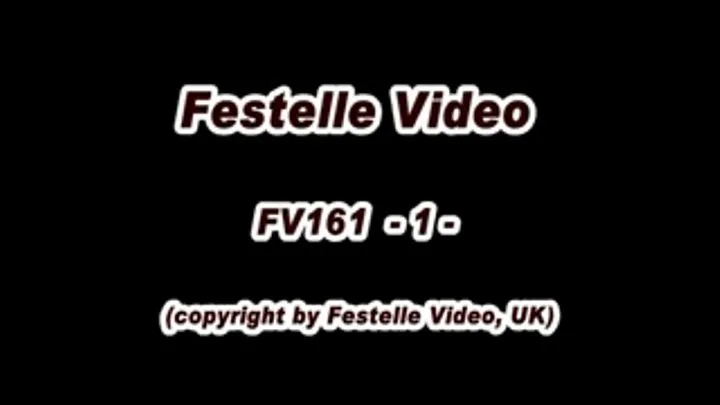 FV161: complete download