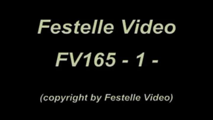 FV165: complete download