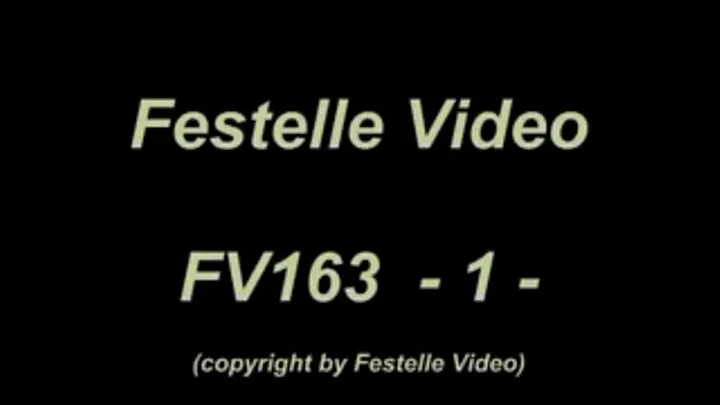 FV163: complete download