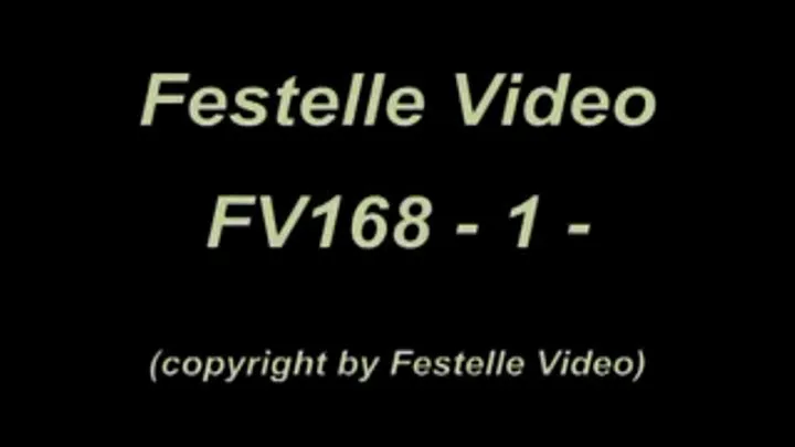 FV168: complete download