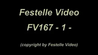 FV167: complete download