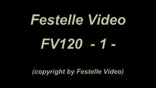 FV120: complete download