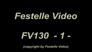 FV130: complete download