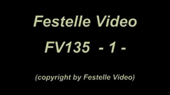 FV135: complete download