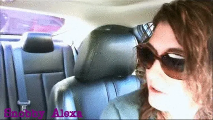 Driving Ignore - Car Ride With Alexa