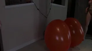 Humping And Grinding, While Moaning, On A Large Balloon