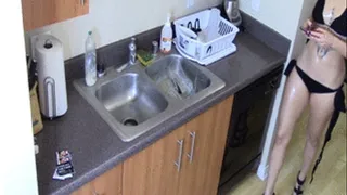 Plunging My Dirty Sink
