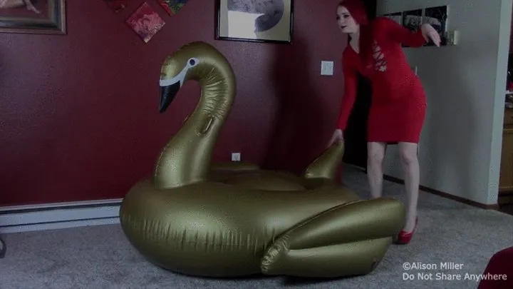 Lifting Up My Dress To Bare Butt Fart On Mr Swan