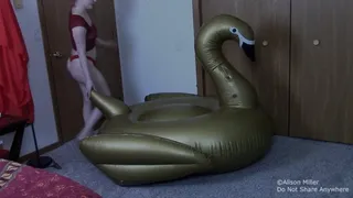 Rubbing My Feet All Over A Gold Inflatable Swan