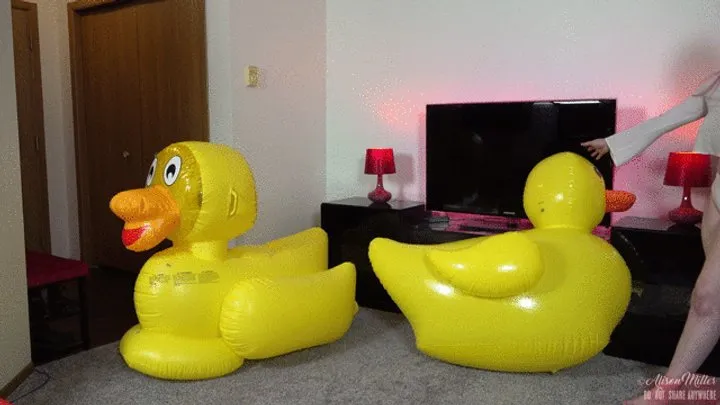 Duck Duck Threesome