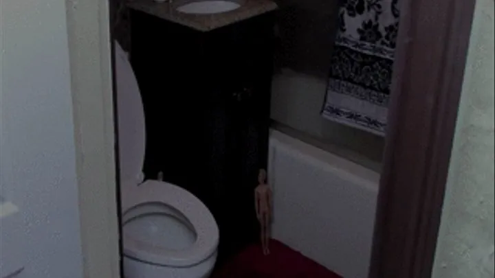 The Spying Doll Strikes Again - The Toilet Punishment Returns