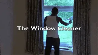 The Window Cleaner