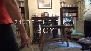 24 OF THE BIRCH BOY