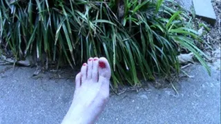 Alexa Crushes Fruit with Bare Feet