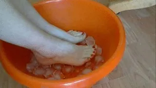 Feet in bowl full of ice