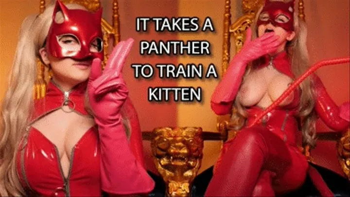 IT TAKES A PANTHER TO TRAIN A KITTEN - ELLIE IDOL