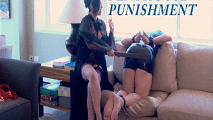 Penthouse Punishment ( ) Full Version