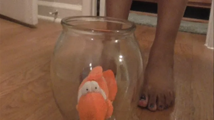 Floating my stuffed fishy