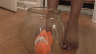 Floating my stuffed fishy