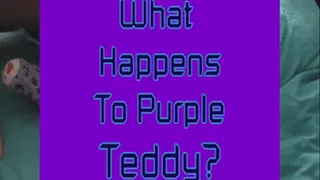 Purple Teddy Fart Domination